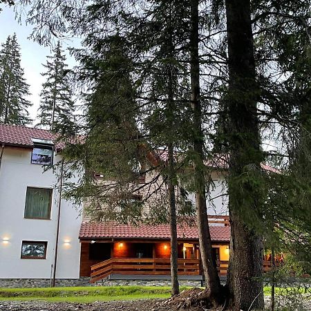 Sidharta Resort Obârşia Lotrului Exterior foto